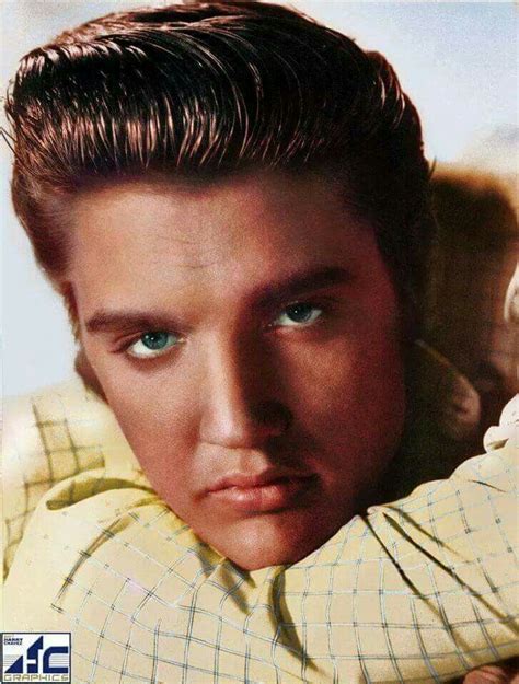 King Elvis Presley Elvis Presley Music Elvis Presley Photos Greaser
