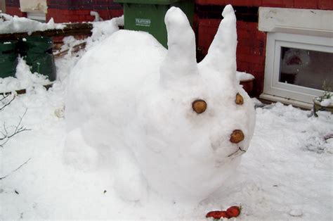 Snow Rabbit Hes A Rabbit Made Of Snow Decor Outdoor Decor Favorite