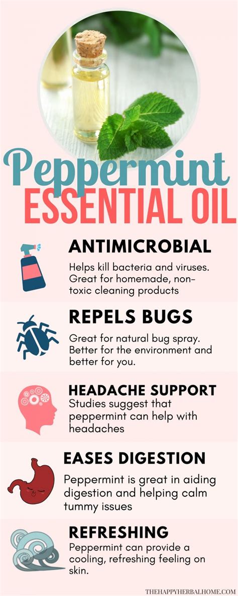 Peppermint Essential Oil Benefits And Uses The Happy Herbal Home