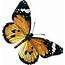 Butterfly Clip Art At Clkercom  Vector Online Royalty Free