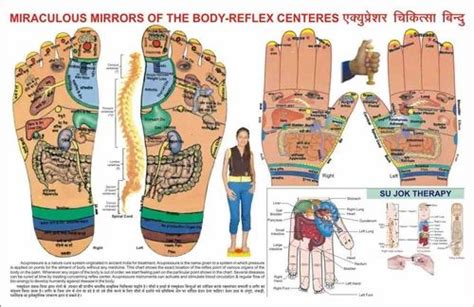How To Perform Acupressure 7 Books On Cd Holistic Health Massage Stress