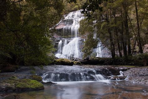 Mcgowans Falls Waterfalls Of Tasmania