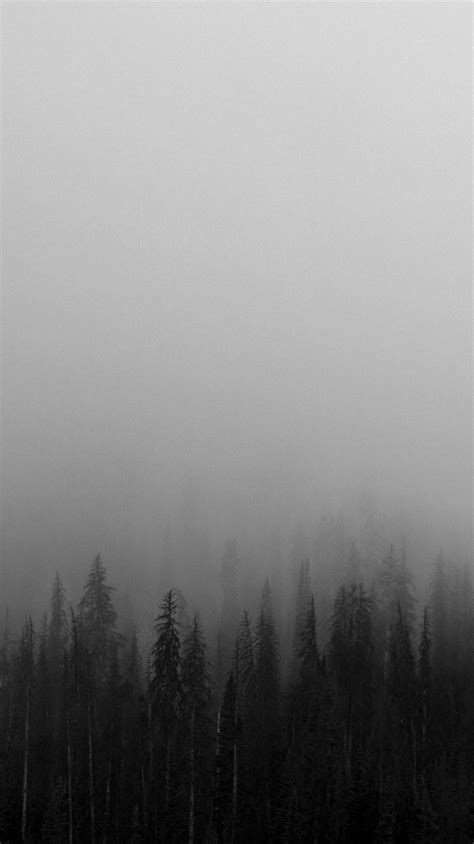Download Black And White Mist Forests Wallpaper Iphone In By
