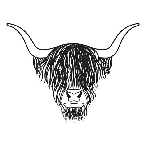 Highland Cattle Vector Art Icons And Graphics For Free Download