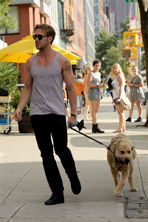 Leash Roles Celebrities Walking Their Dogs