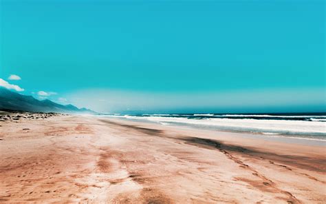 Exotic Ocean Beach With Palm Trees Uhd 4k Wallpaper Pixelz Images