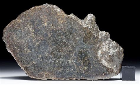 Meteorite Nwa 11757 Primitive Achondrite Ureilite 4017 G Full
