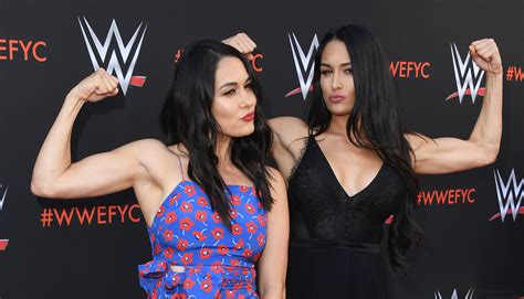 Nikki And Brie Bella Wrestled Together Again And Our Hearts Cant Take It