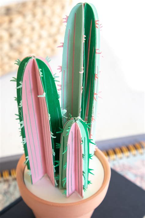Cricut Craft Diy Paper Cactus Decor Not Quite Susie Homemaker