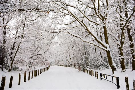 Pinterest Winter Season Snow Road 1920x1080 Wallpaper