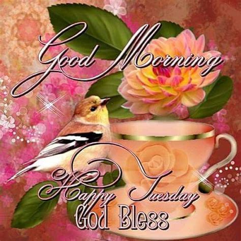Good Morning Happy Tuesday God Bless Pictures Photos And Images For