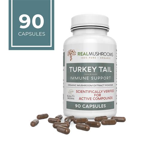 real mushrooms turkey tail mushroom supplements for immune support wellness and vitality vegan