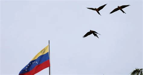 Venezuela Informa Que Dos Militares Murieron En Choques Con Grupos
