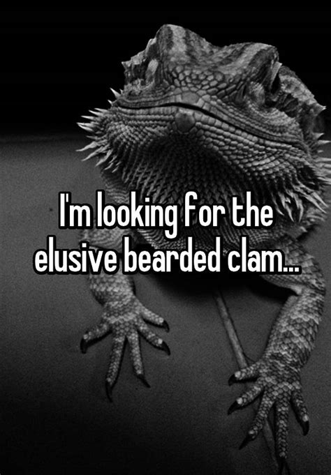 I M Looking For The Elusive Bearded Clam