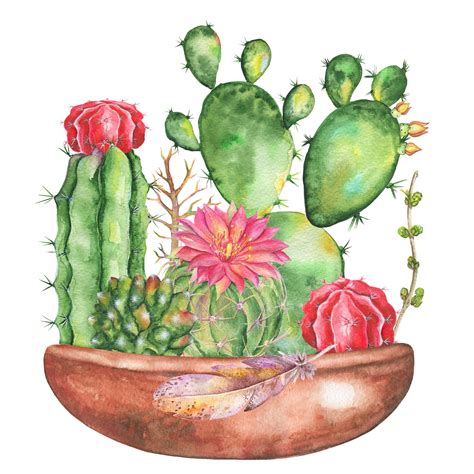 Succulent Pots Watercolor Clipart Cactus Pots Digital Clip Art