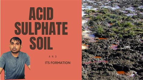 What Is Acid Sulfate Soil And How It Form Youtube