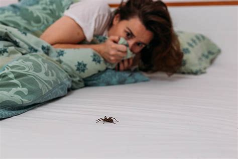 Bug Phobia The Root Cause Of Your Fear Of Insects Cure All Pest