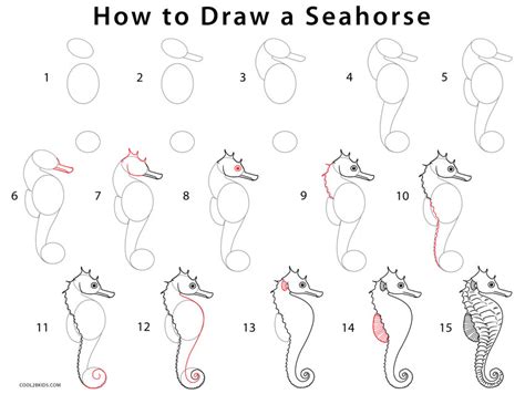 Easy step by step drawing tutorials and instructions for beginner and intermediate artists looking to improve their overall drawing skills. How to Draw a Seahorse (Step by Step Pictures) | Cool2bKids