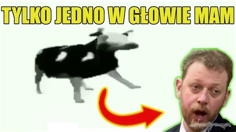 Historia Memów Dancing Polish Cow Tylko Jedno W GŁowie Mam Youtube