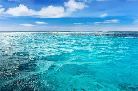 Unusual The Colour Of The Ocean Will Change In Eighty Years Due To