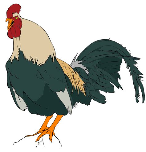 Free Clip Art Rooster Clip Art