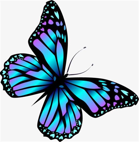 Cartoon Blue Butterfly Butterfly Drawing Butterfly Clip