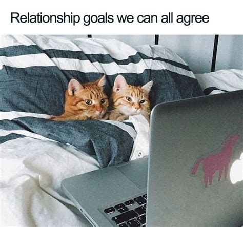 Cute Couple Meme