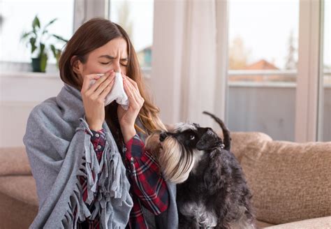 Having Pets When Living With Allergies