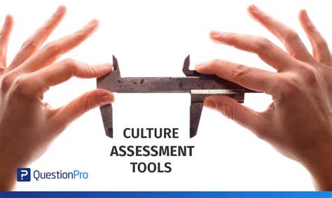Culture Assessment Tools Questionpro