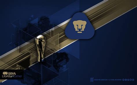 Pumas Unam Ligraficamx Ctg Hd Wallpaper Pxfuel