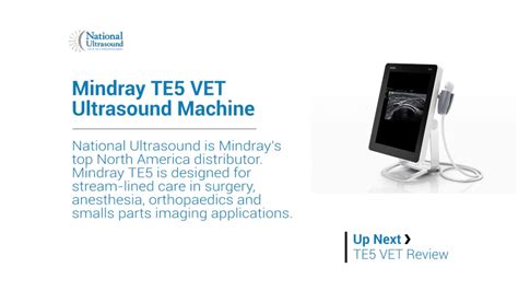 Mindray Te5 Veterinary Ultrasound Machine Review National Ultrasound