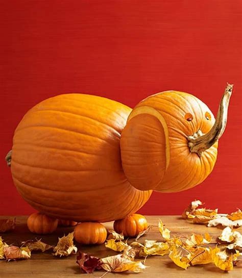 Elephant Pumpkin Carvin Creative Ads And More