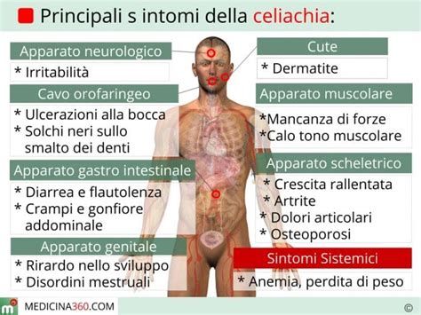 Sintomatologia Celiachia Intolleranza Al Glutine E Diagnosi Depurarsi Naturalmente