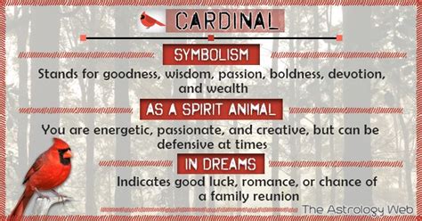 Cardinal Bird Meaning And Symbolism The Astrology Web Cardinal