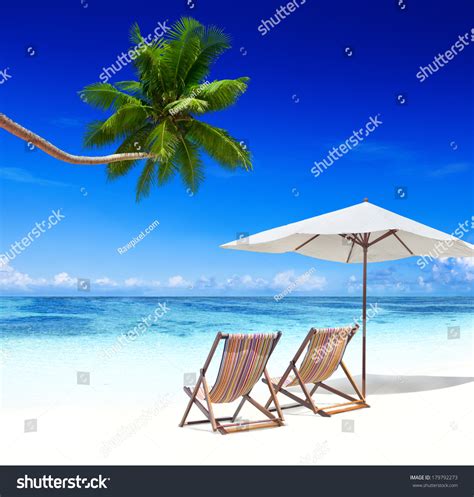 Deck Chairs On Tropical Beach With Palm Tree Stock Photo 179792273