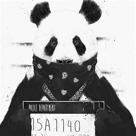 Panda Swag Youtube