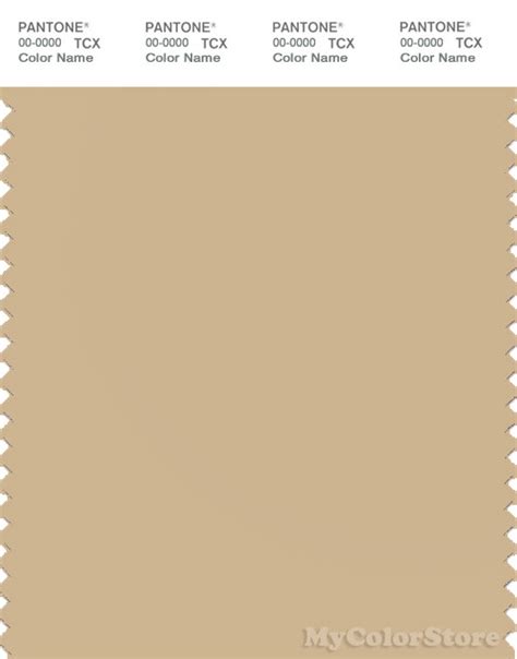 Pantone Smart 14 1116 Tcx Color Swatch Card Pantone Almond Buff