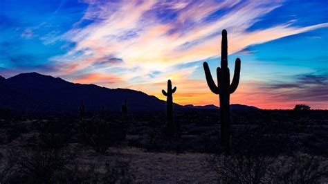 30 Phoenix Arizona Quotes For Instagram Captions