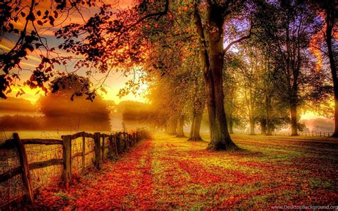 Autumn Love Wallpapers Top Free Autumn Love Backgrounds Wallpaperaccess