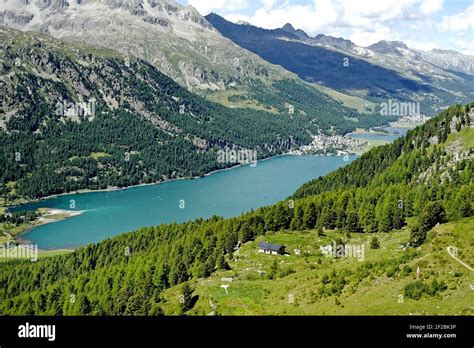 Lake Sils Summer Hi Res Stock Photography And Images Alamy
