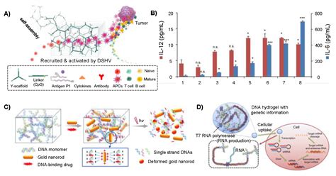 Gels Free Full Text Polymeric Dna Hydrogels And Their Applications
