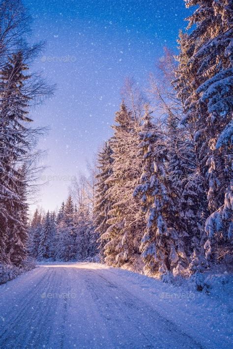 Beautiful Winter Landscape Snowy Forest On Sunny Day Stock Photo By Nblxer