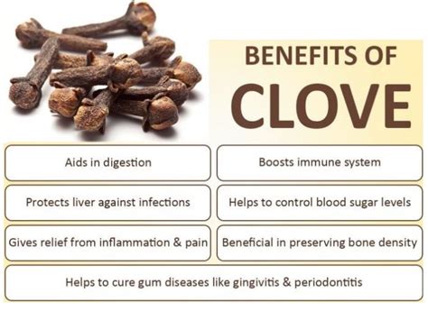 7 Unique Health Benefits Of Cloves You Should Know My Health Only