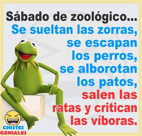Pin By Ale On Humor Funny Spanish Jokes Funny Spanish Memes