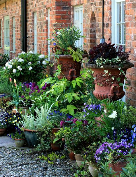 Mid May Container Garden Container Garden Design Garden Containers