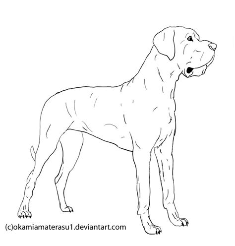 Some of the colouring page names are the great dane is a large german breed of dog known for its enormous body and great height, cute great danes of all colors and sizes lps pets lps dog lps littlest pet shop, high quality animal home decor wall sticker dog vinyl removable self adhesive great dane wall, new 5cm lovely pet. Download Great Dane coloring for free - Designlooter 2020 👨‍🎨