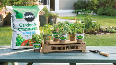 How Bonnie Plants And Scottsmiracle Gro Are Investing In Consumer