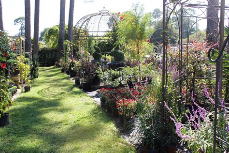 Plant Nursery Home Decor Garden Supplies Landscape Services