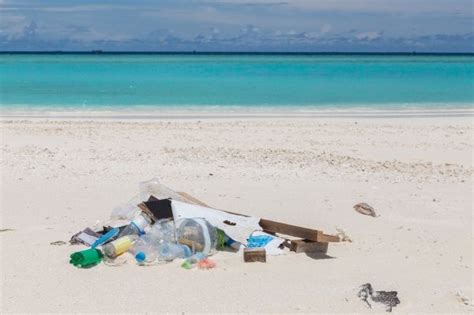 Environmental News Network Maldives Records Highest Microplastic
