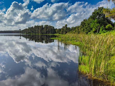 Orlando is home to 901 hotels and universal citywalk™ and universal studios florida™ are both worth a visit while you're checking out the area. Lake Louisa State Park, Florida | Hiking around Dixie Lake ...